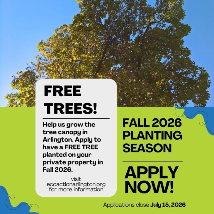 Image from Apply for a Free Tree; Fall 2026 Tree Planting Now Open