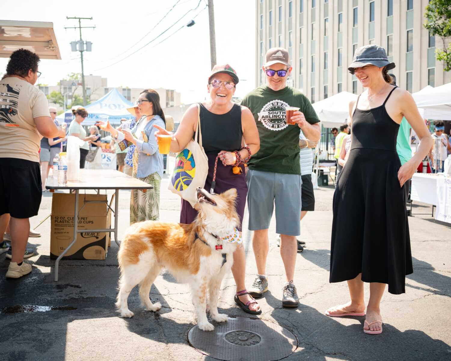 Good music, good friends, cold beer, and a dog to top it off at Blues Fest. Photo by Josh Brick.