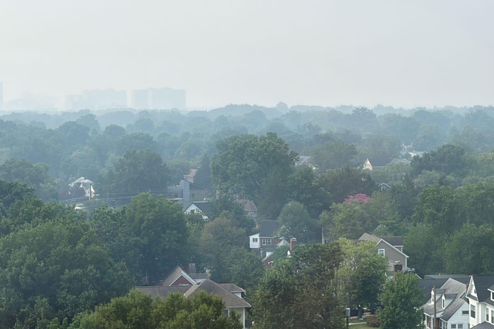Suburban neighborhood with dense trees in the foreground and a hazy city skyline on the horizon.