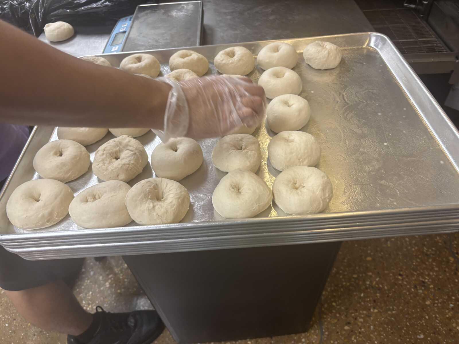Tray of raw doughnut holes on a baking sheet, a gloved hand shaping one in the foreground with a scale in the background