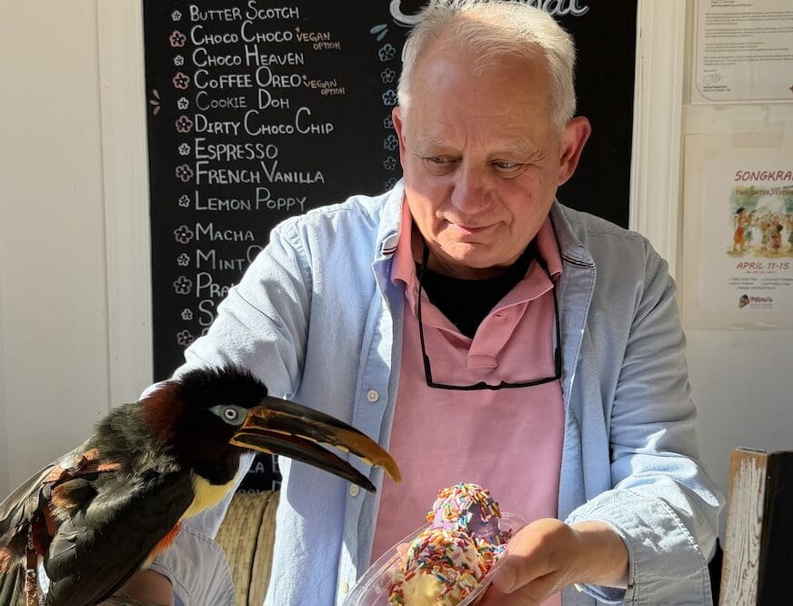 An older man in a pink polo and light blue shirt holds a bowl of ice cream with rainbow sprinkles while a large hornbill perches on his arm in an outdoor cafe.