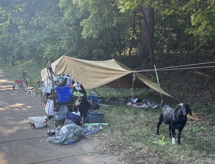 Roadside makeshift campsite with a tan tarp shelter, scattered belongings, and a black dog nearby.