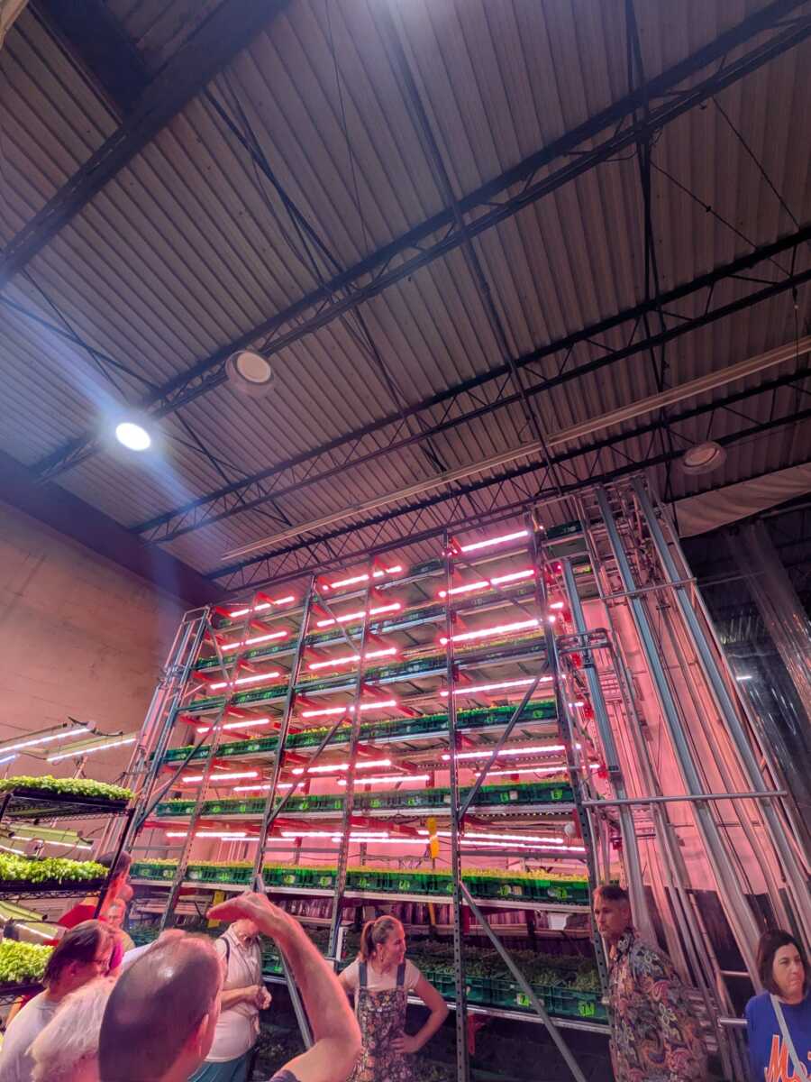 "Silo"-- Area 2 Farm's patented indoor growing system