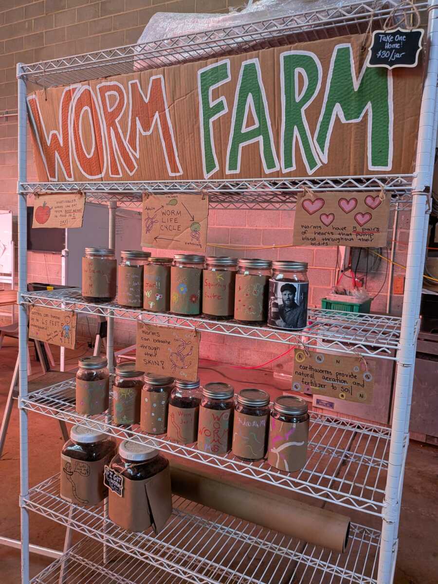 Worm Farm