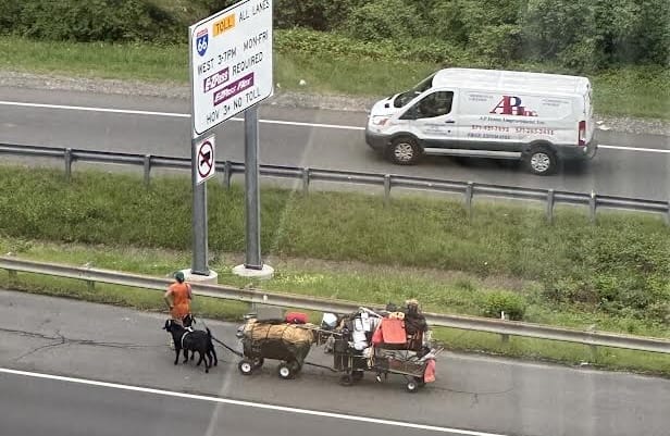 Person with a dog pulling a small wagon loaded with items along a highway shoulder, a white van in the opposite lane, and highway sign in view