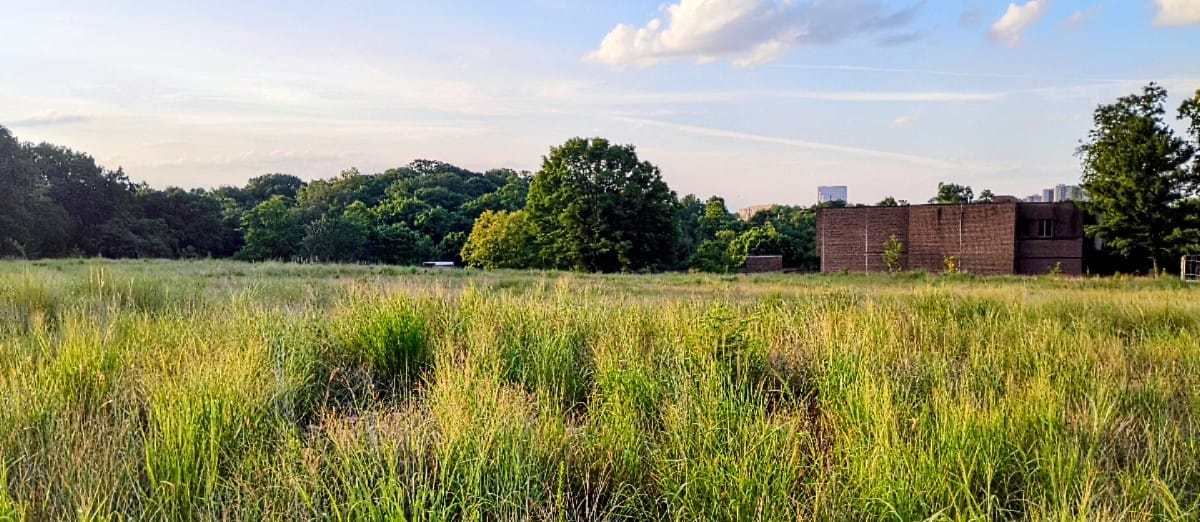 601 S. Carlin Springs Road parcel looking east (staff photo by Scott McCaffrey) | ARLnow Open grassy field with tall weeds, a line of trees in the distance, and a brick building on the right under a blue sky.