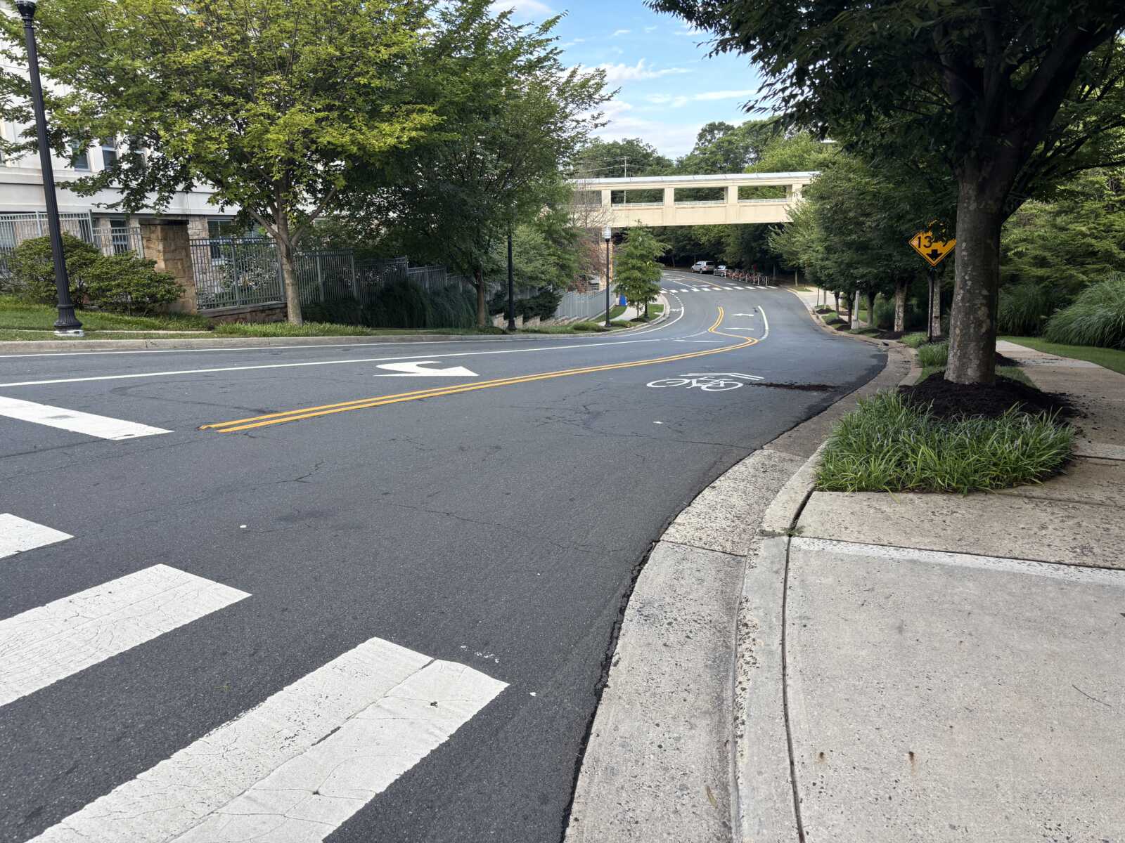 Curving urban street with a bike lane marking and crosswalk, lined by trees and a pedestrian sidewalk under a bridge.