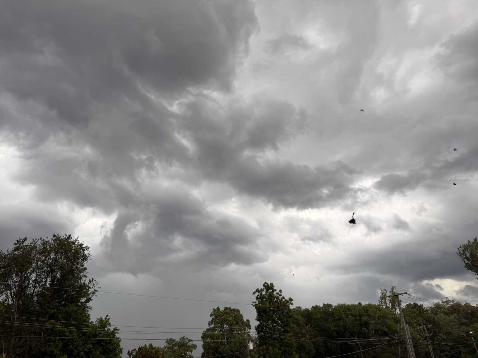 Overcast sky with heavy dark storm clouds above a treeline; power lines cross the scene.