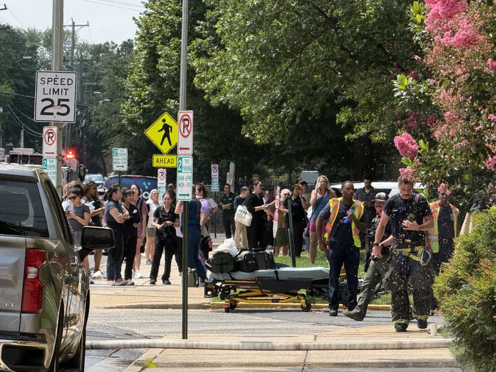 Crowd of bystanders on the sidewalk as EMS personnel stand near a wheeled stretcher in the street, with blooming pink flowers on the right and a parked SUV nearby.
