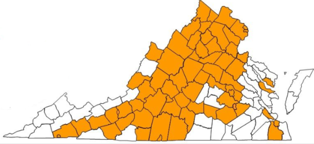 Map of Virginia with most counties shaded orange to indicate selection or emphasis.