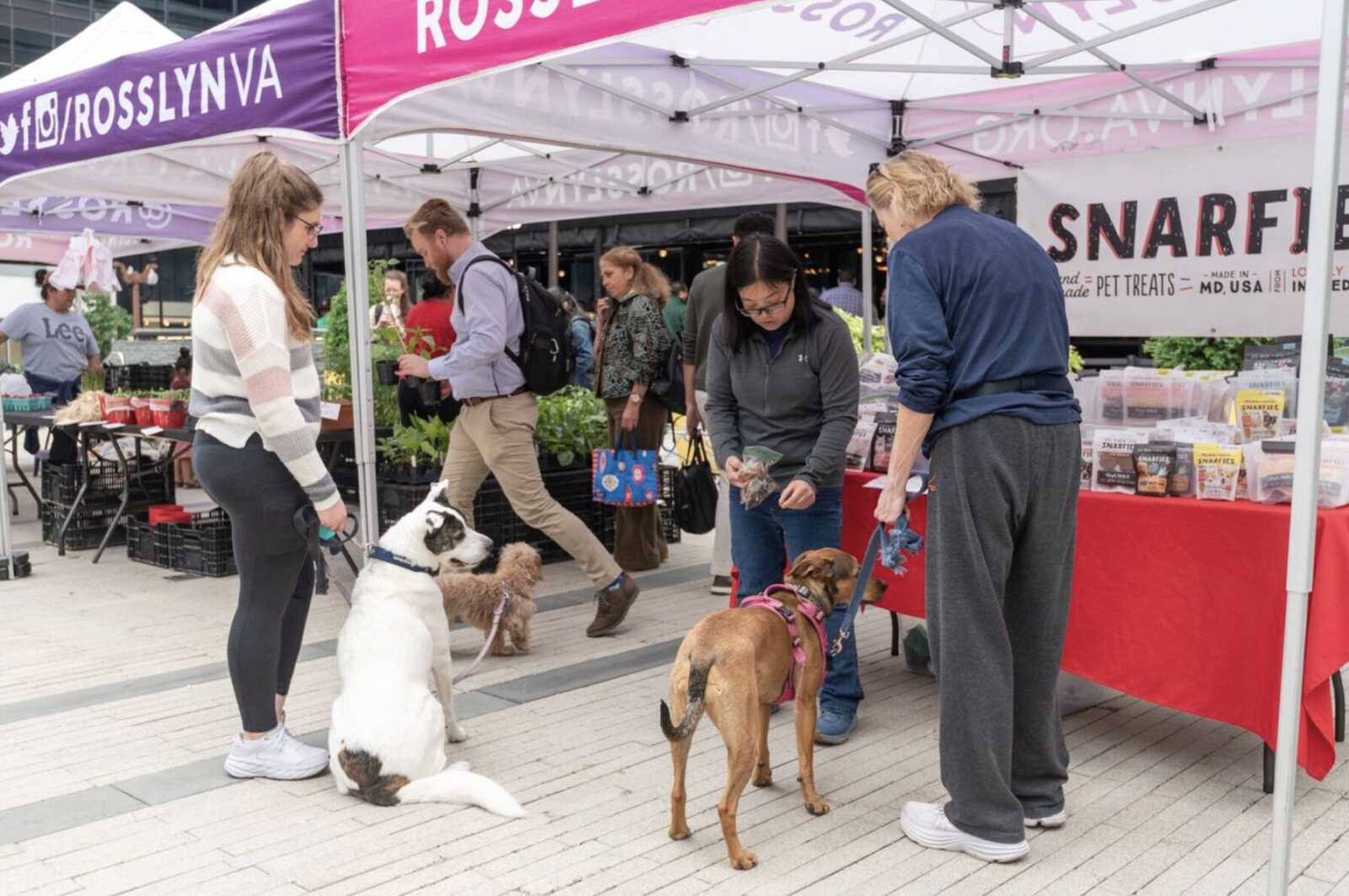 Woman with a leash sits beside a white and black dog while other dogs and shoppers browse a pet‑treat market under pink and white tents.