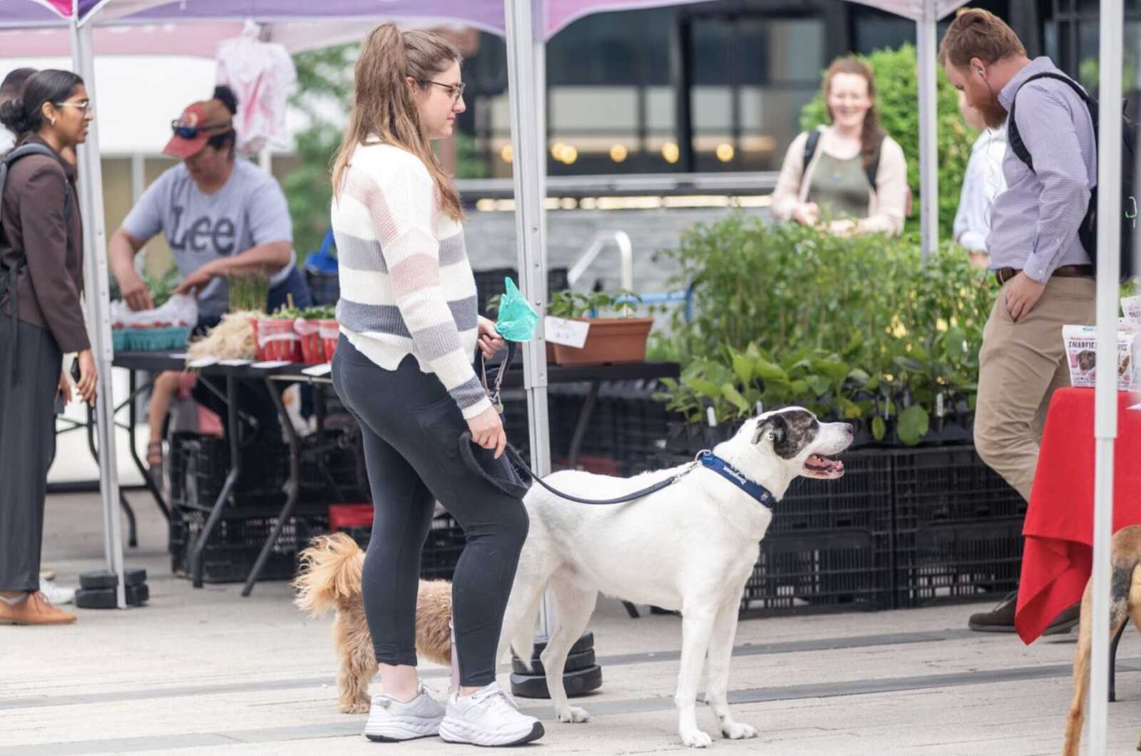 A woman in a striped sweater walks a white dog on a leash through an outdoor market with vendor stalls and plants in the background.