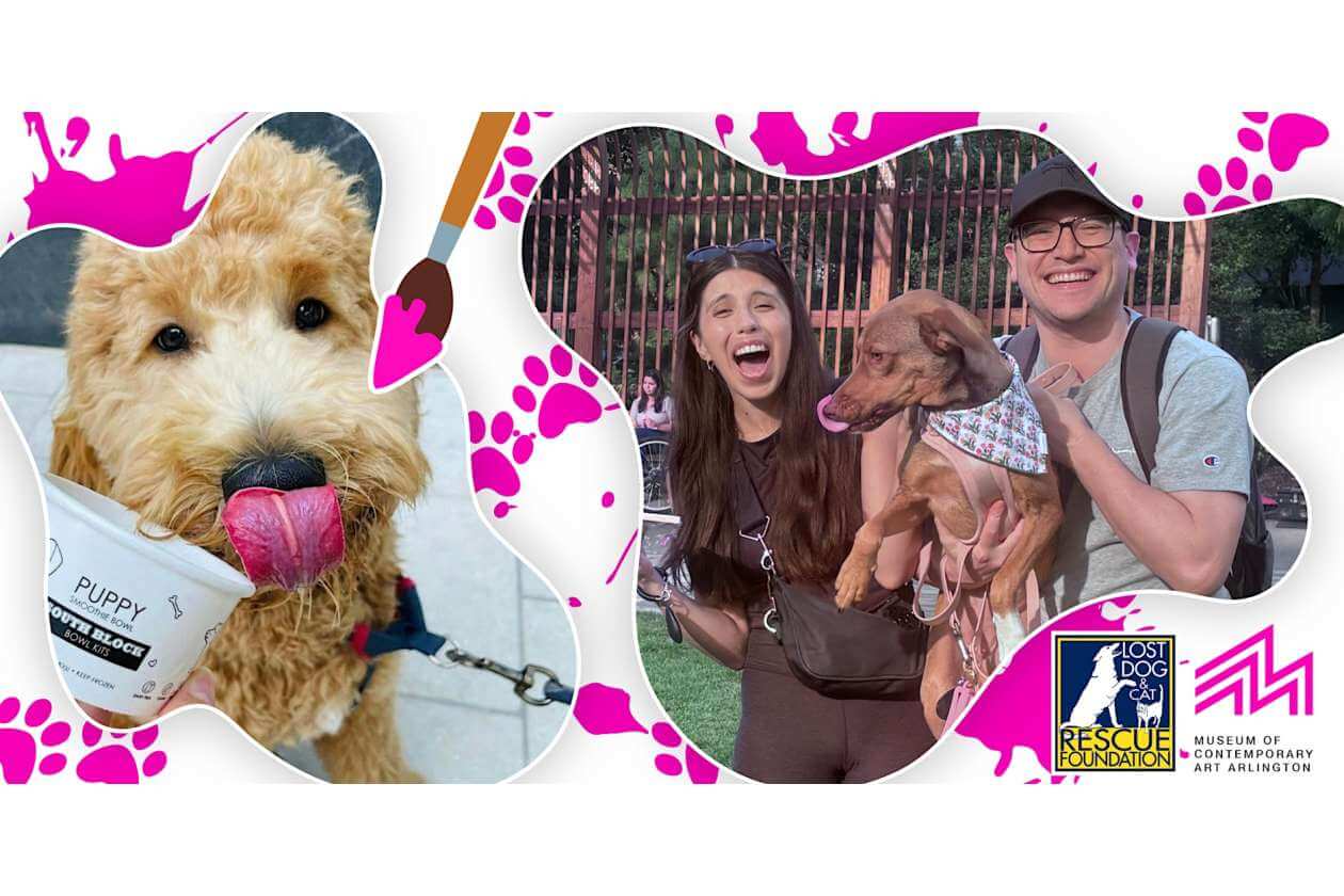 Collage banner showing a fluffy dog with a cup, people holding a small dog outdoors; logos for Lost Dog & Cat Rescue Foundation and Museum of Contemporary Art Arlington are in the corner.