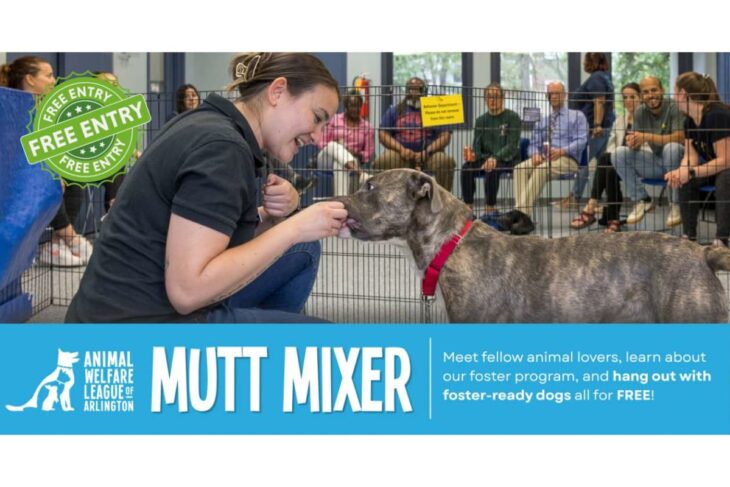 Volunteer kneels to pet a brindle dog at a foster event, with a 'Free Entry' badge and a crowd behind a pen; banner reads 'Mutt Mixer'.