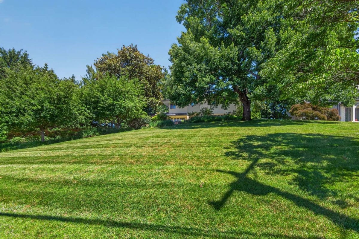 Sunny park scene with a large grassy slope, mature trees, and a house visible in the background under a clear blue sky.