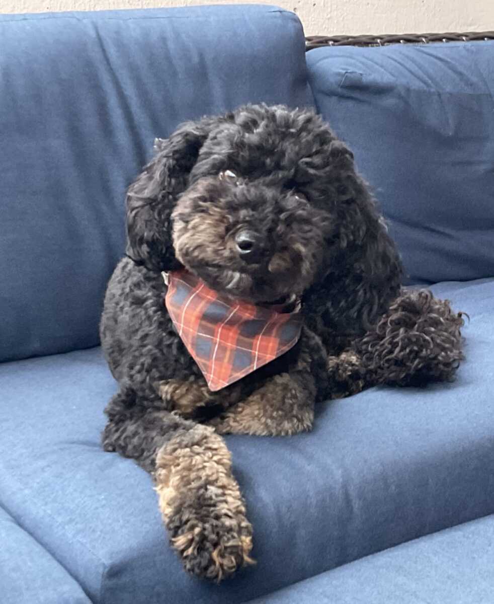 Ask Eli: Community support after condo fire, a personal connection image 2
