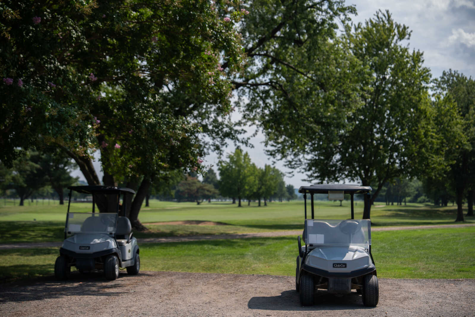 Two white golf carts parked on a dirt path with a tree-lined golf course in the background.