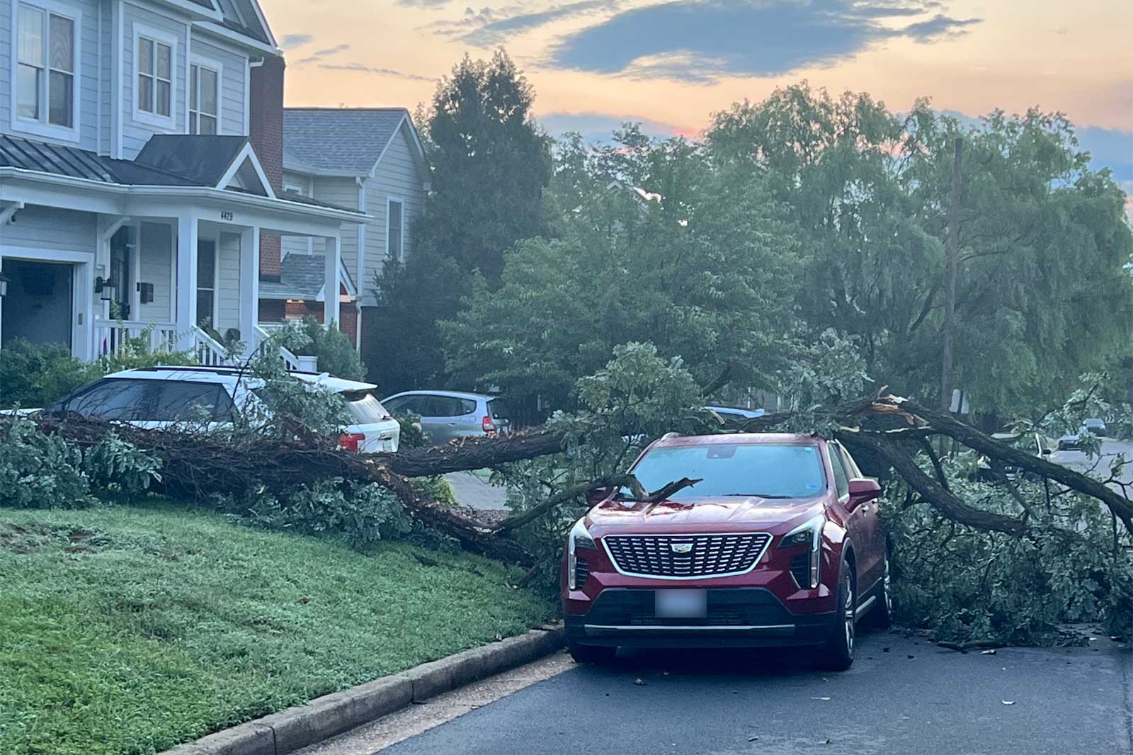 A large tree limb lies across a street, resting on a red SUV and blocking parked cars outside townhomes after a storm.