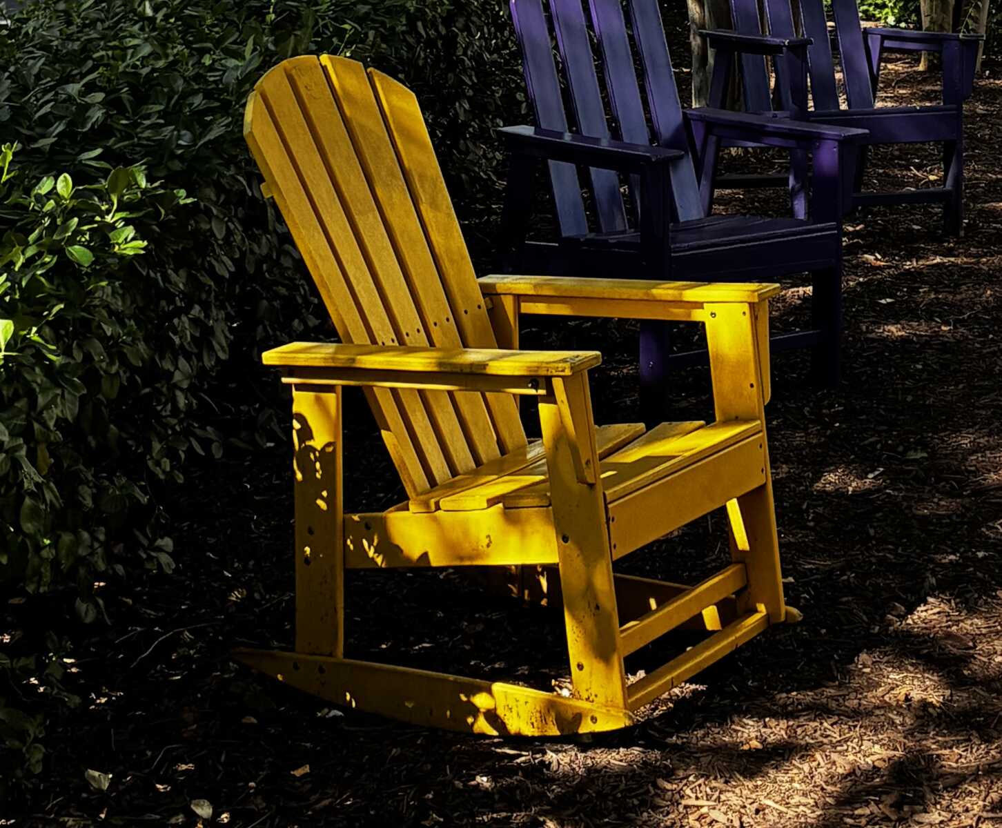 Yellow chair in Rosslyn (courtesy George Brazier) | ARLnow Bright yellow wooden chair in the foreground with dark purple chairs behind, set in a shaded garden path.
