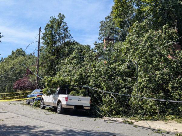 Tree has fallen onto a street, bringing down power lines and a utility pole; a white truck and a blue car are parked nearby with caution tape around the area.