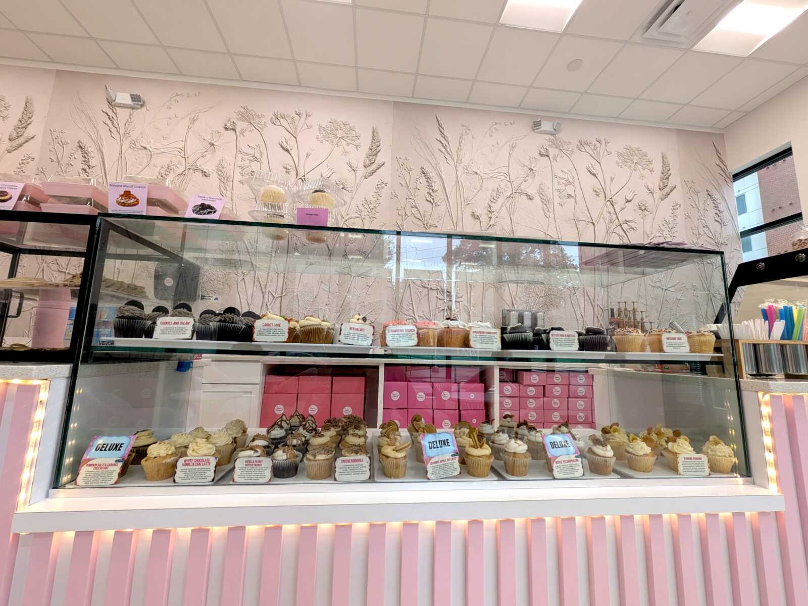Glass bakery display case filled with assorted cupcakes against a pink, floral-patterned wall and pink storage boxes behind it.