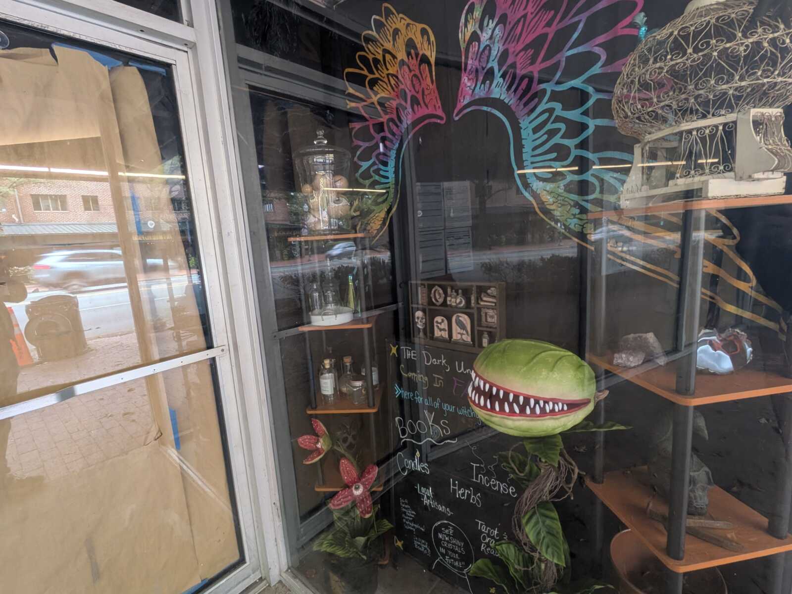 Colorful wing mural on a storefront window with a large Venus flytrap sculpture and shelves of bottles inside; chalkboard signs mention books, incense, and herbs.