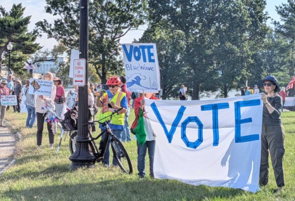 Group of protesters holding signs reading 'VOTE' and 'Blue Wave' at a daytime rally in a park.