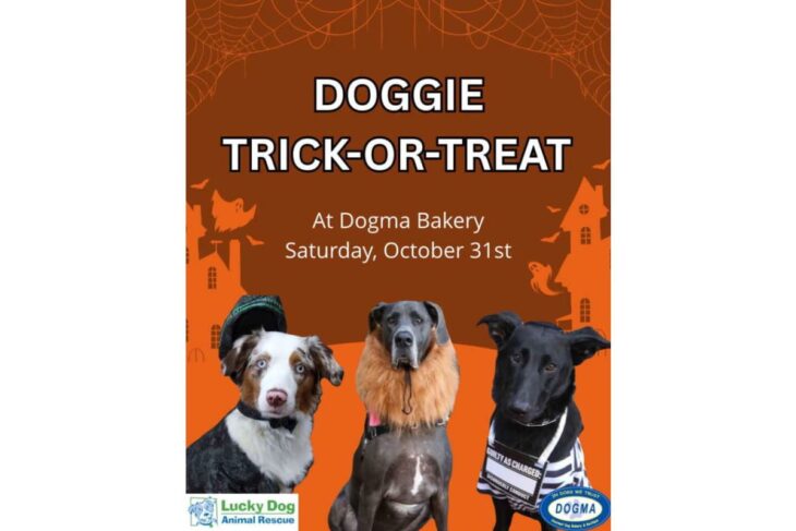Poster for Doggie Trick-or-Treat at Dogma Bakery featuring three dogs and Halloween imagery; Oct 31 event announcement.