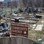 Trash and debris at the South Four Mile Run community garden (courtesy photo)