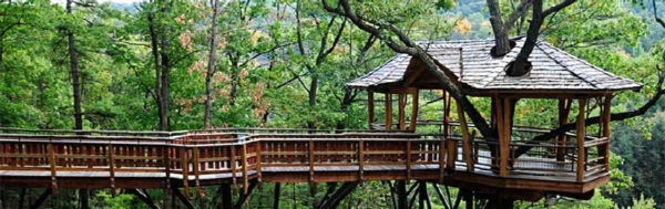 Treetop shelter similar to one proposed for Potomac Overlook Regional Park (photo via NVRPA)