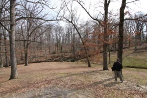 Most of the trees in this portion of Arlington Woods are set to be removed for the expansion of Arlington National Cemetery