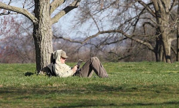 A man reading in a park on a spring day