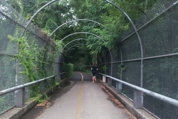Running on the Custis Trail
